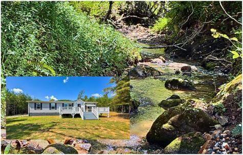 95 Chilson Drive Warne NC 28909