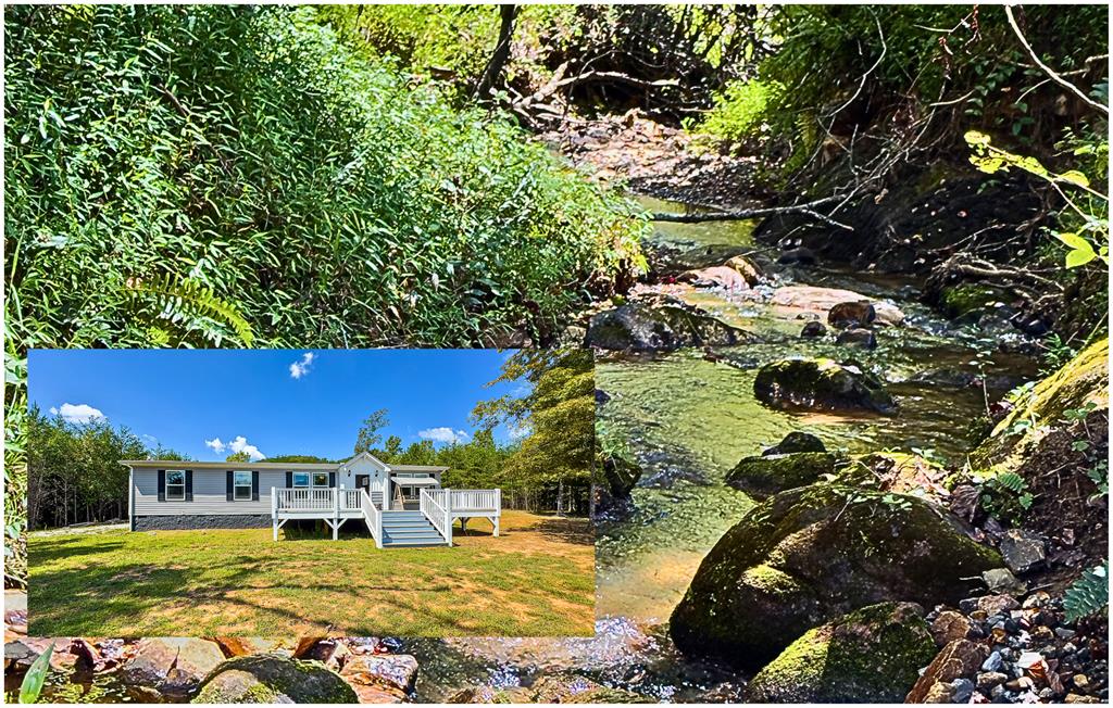 95 Chilson Drive Warne NC 28909