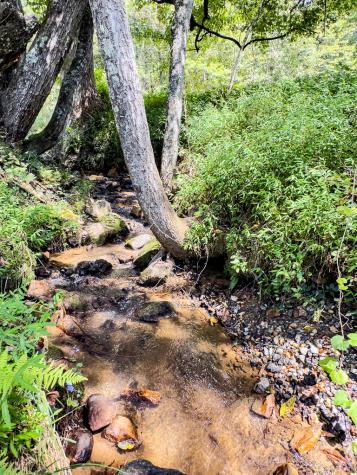 95 Chilson Drive Warne NC 28909