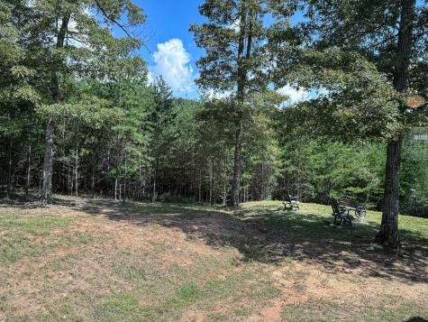 95 Chilson Drive Warne NC 28909