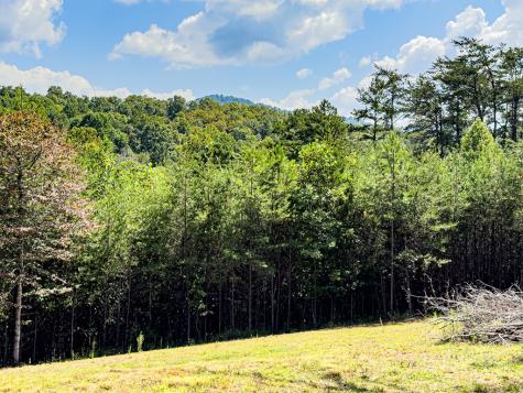 95 Chilson Drive Warne NC 28909