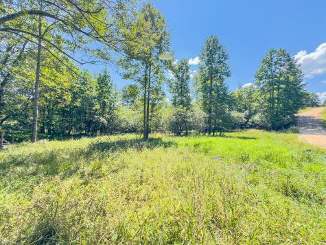 95 Chilson Drive Warne NC 28909