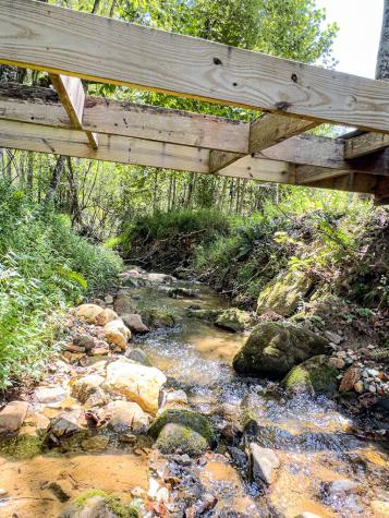 95 Chilson Drive Warne NC 28909