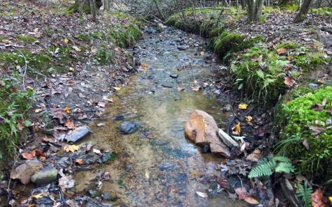 487 Weeks Creek Road Blue Ridge GA 30513