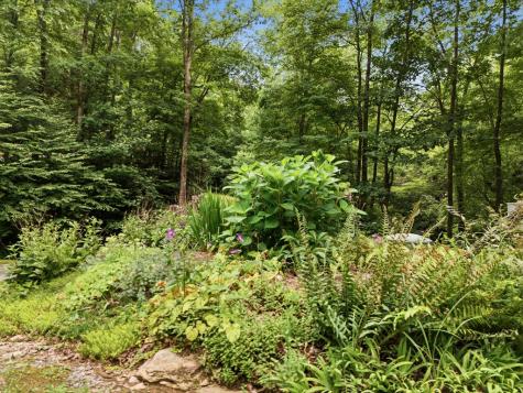 86 Pounding Mill Creek Hayesville NC 28904