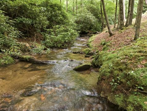 86 Pounding Mill Creek Hayesville NC 28904