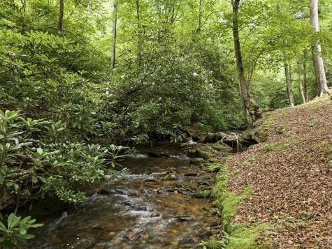 86 Pounding Mill Creek Hayesville NC 28904