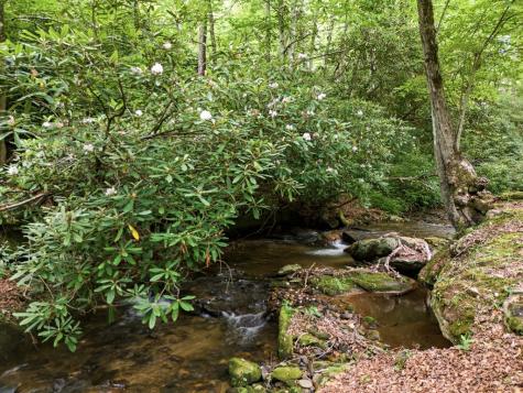 86 Pounding Mill Creek Hayesville NC 28904
