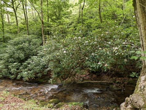 86 Pounding Mill Creek Hayesville NC 28904