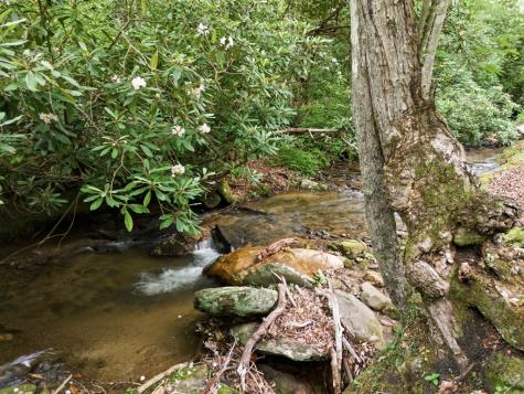 86 Pounding Mill Creek Hayesville NC 28904