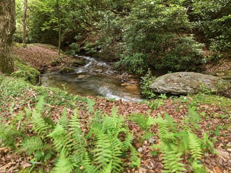 86 Pounding Mill Creek Hayesville NC 28904