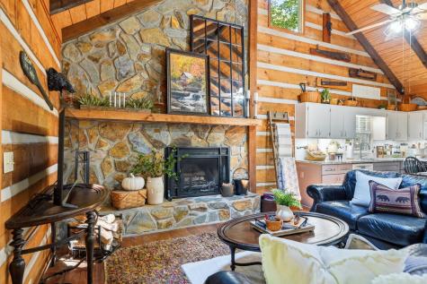 46 Gooseberry Trail Blue Ridge GA 30513