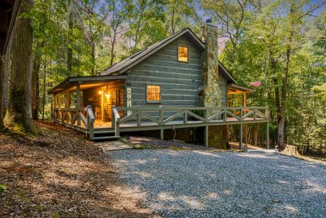 46 Gooseberry Trail Blue Ridge GA 30513