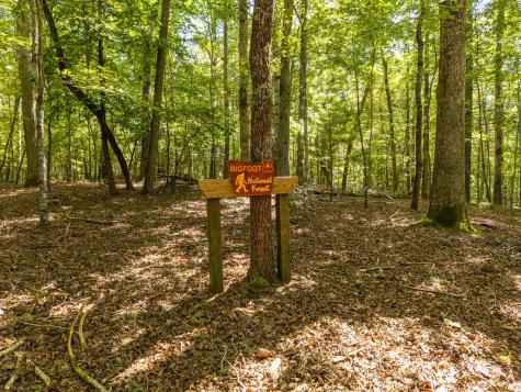 46 Gooseberry Trail Blue Ridge GA 30513