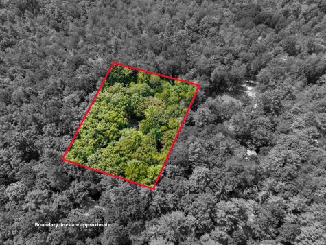 46 Gooseberry Trail Blue Ridge GA 30513