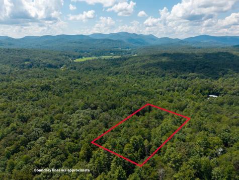 46 Gooseberry Trail Blue Ridge GA 30513