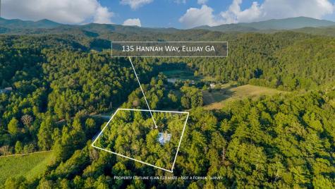 135 Hannah Way Ellijay GA 30540