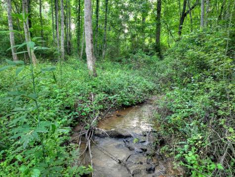 219 Staurolite Mountain Road Blue Ridge GA 30513