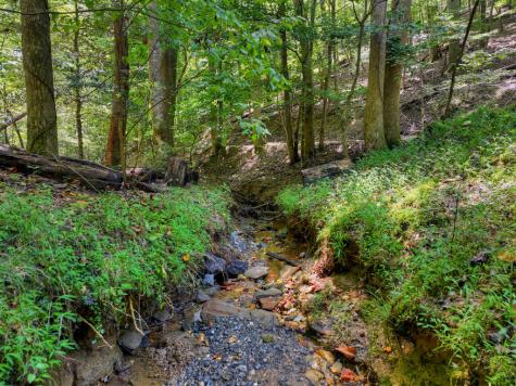 162 Primrose Court Ellijay GA 30540
