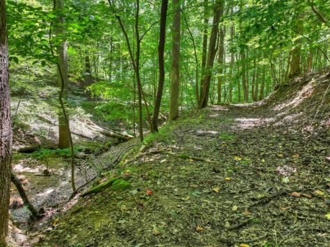162 Primrose Court Ellijay GA 30540