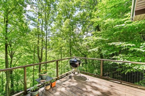 5875 Brasstown Creek Estate Young Harris GA 30582