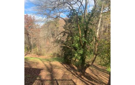 98 Wash Wilson Road Blue Ridge GA 30513