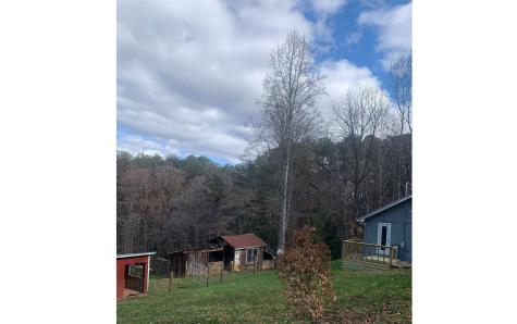 98 Wash Wilson Road Blue Ridge GA 30513