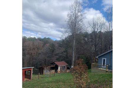 98 Wash Wilson Road Blue Ridge GA 30513