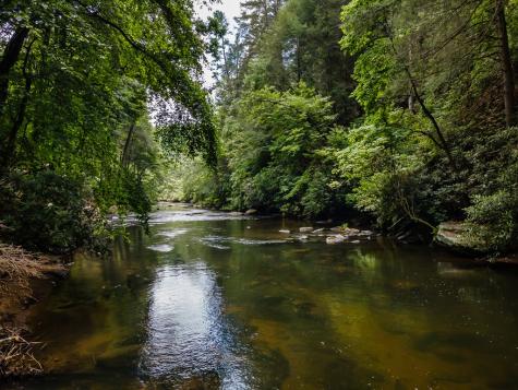 41 River Bend Court Ellijay GA 30540