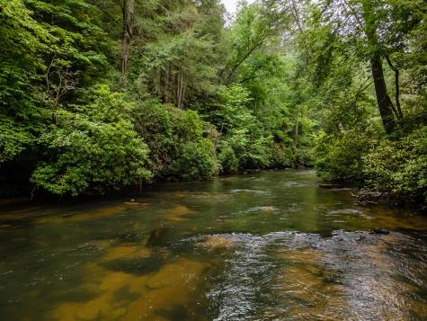 41 River Bend Court Ellijay GA 30540