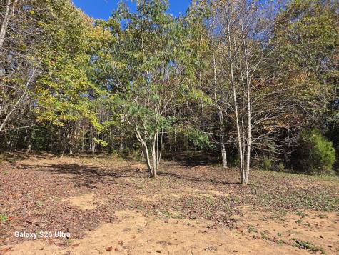 15466 Joe Brown Highway Murphy NC 28906