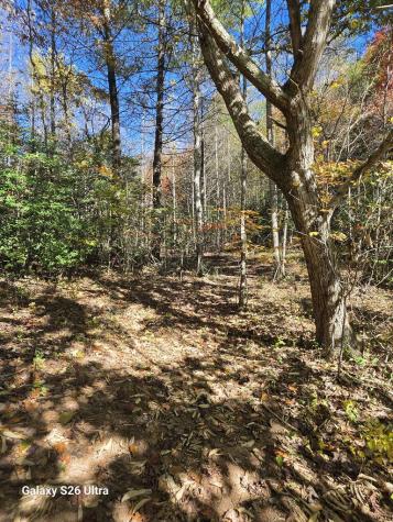 15466 Joe Brown Highway Murphy NC 28906