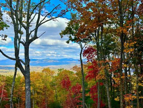 772 Rainbow Mountain Drive Ellijay GA 30536