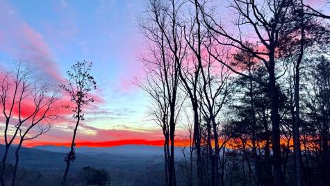 772 Rainbow Mountain Drive Ellijay GA 30536