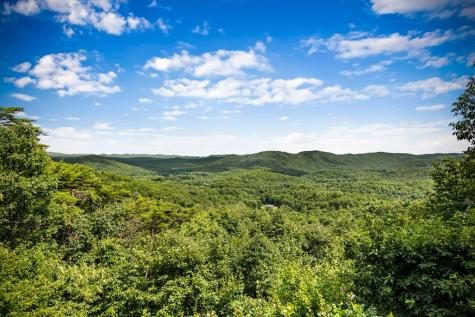 463 Big Sky Trail Epworth GA 30541
