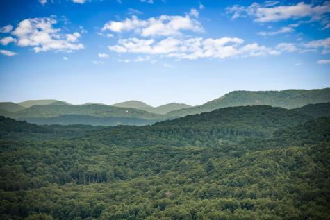 463 Big Sky Trail Epworth GA 30541