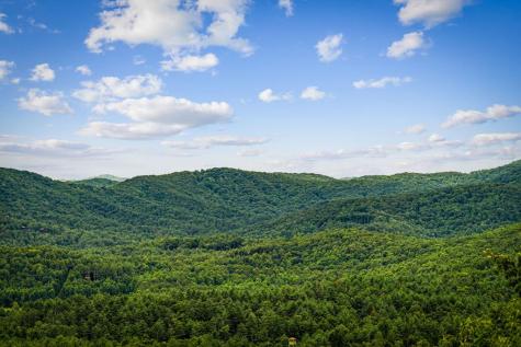 463 Big Sky Trail Epworth GA 30541