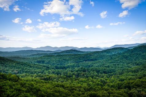 463 Big Sky Trail Epworth GA 30541