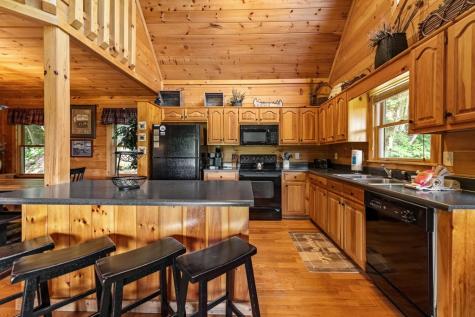 469 Mountain High Drive Mineral Bluff GA 30559
