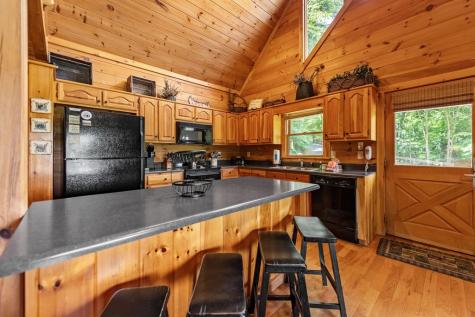 469 Mountain High Drive Mineral Bluff GA 30559
