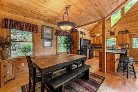 469 Mountain High Drive Mineral Bluff GA 30559