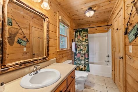 469 Mountain High Drive Mineral Bluff GA 30559