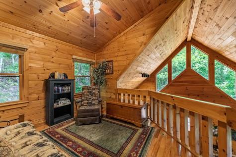 469 Mountain High Drive Mineral Bluff GA 30559