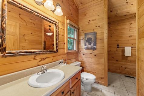 469 Mountain High Drive Mineral Bluff GA 30559