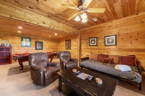 469 Mountain High Drive Mineral Bluff GA 30559