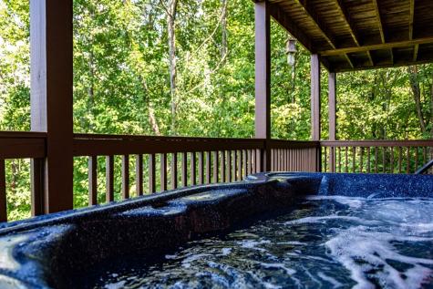 469 Mountain High Drive Mineral Bluff GA 30559