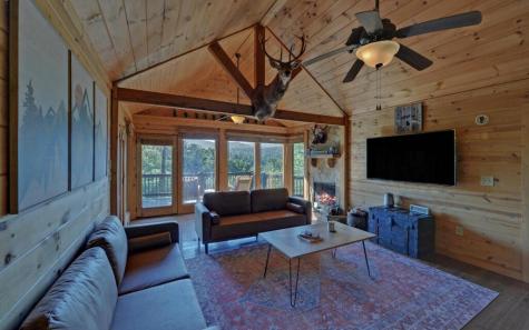 679 Mountain View Circle Blue Ridge GA 30513
