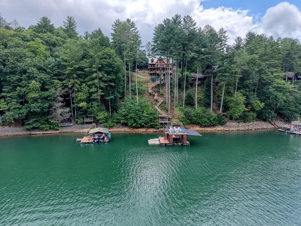 514 Browns Cove Road Blue Ridge GA 30513