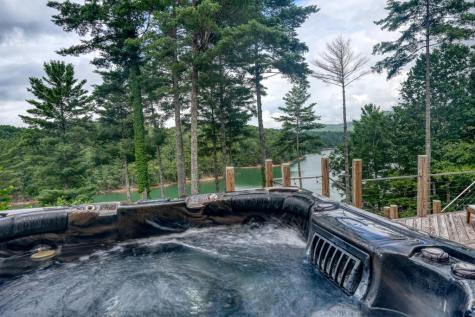 514 Browns Cove Road Blue Ridge GA 30513