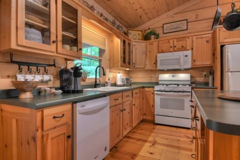 814 Lemmon Lane Ellijay GA 30540